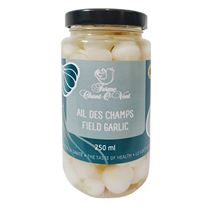Ail des champs